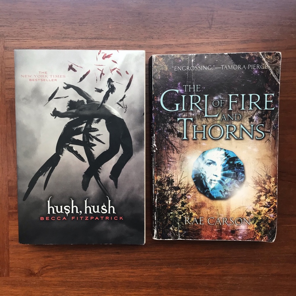 2 book bundle